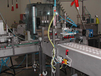 Automatisatie tomaten snijmachine